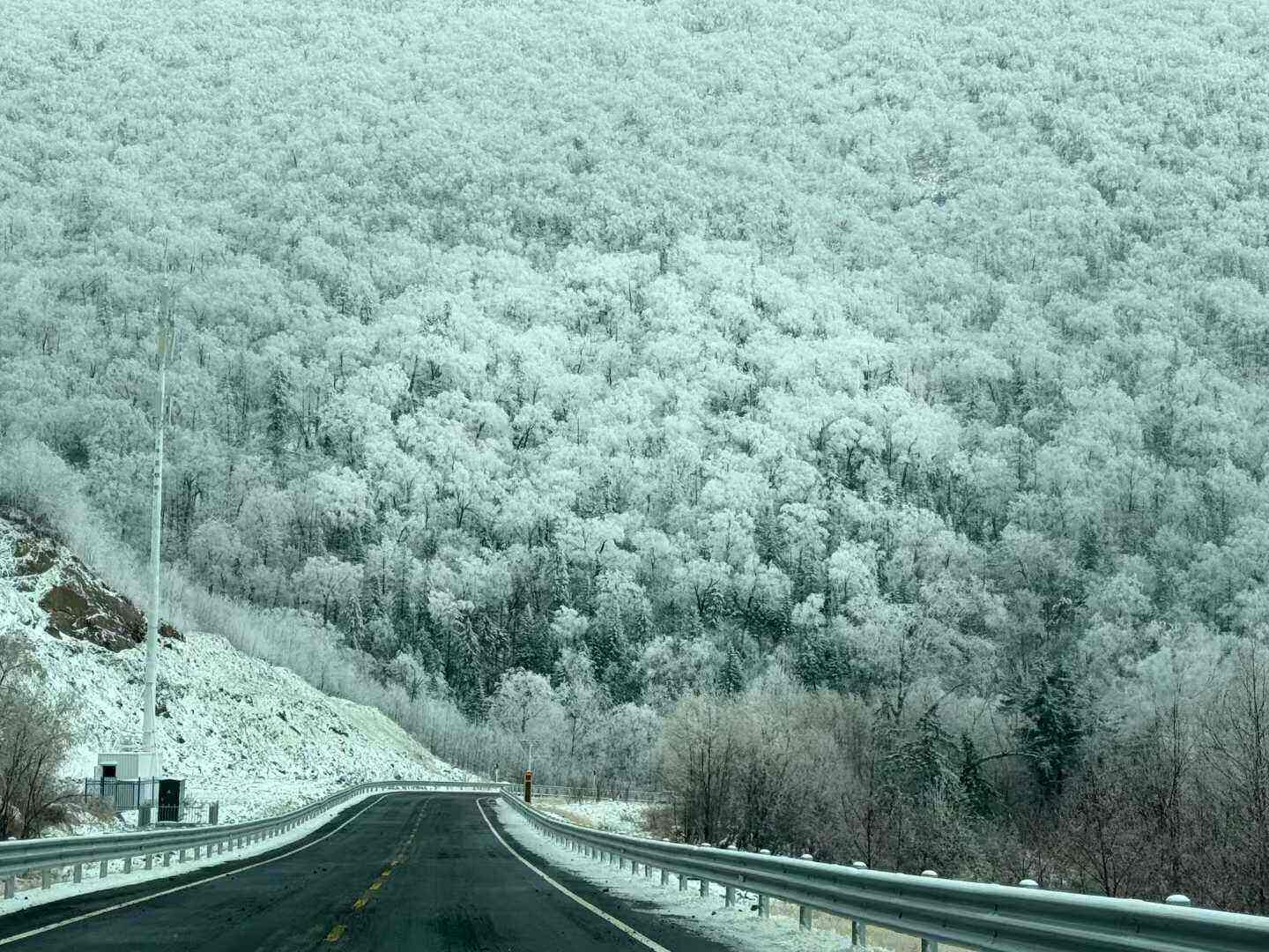 00000000uCrRJztGFXCOZIeD