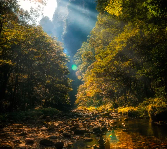 00000000uMgiOZNbrVmrcIuZ