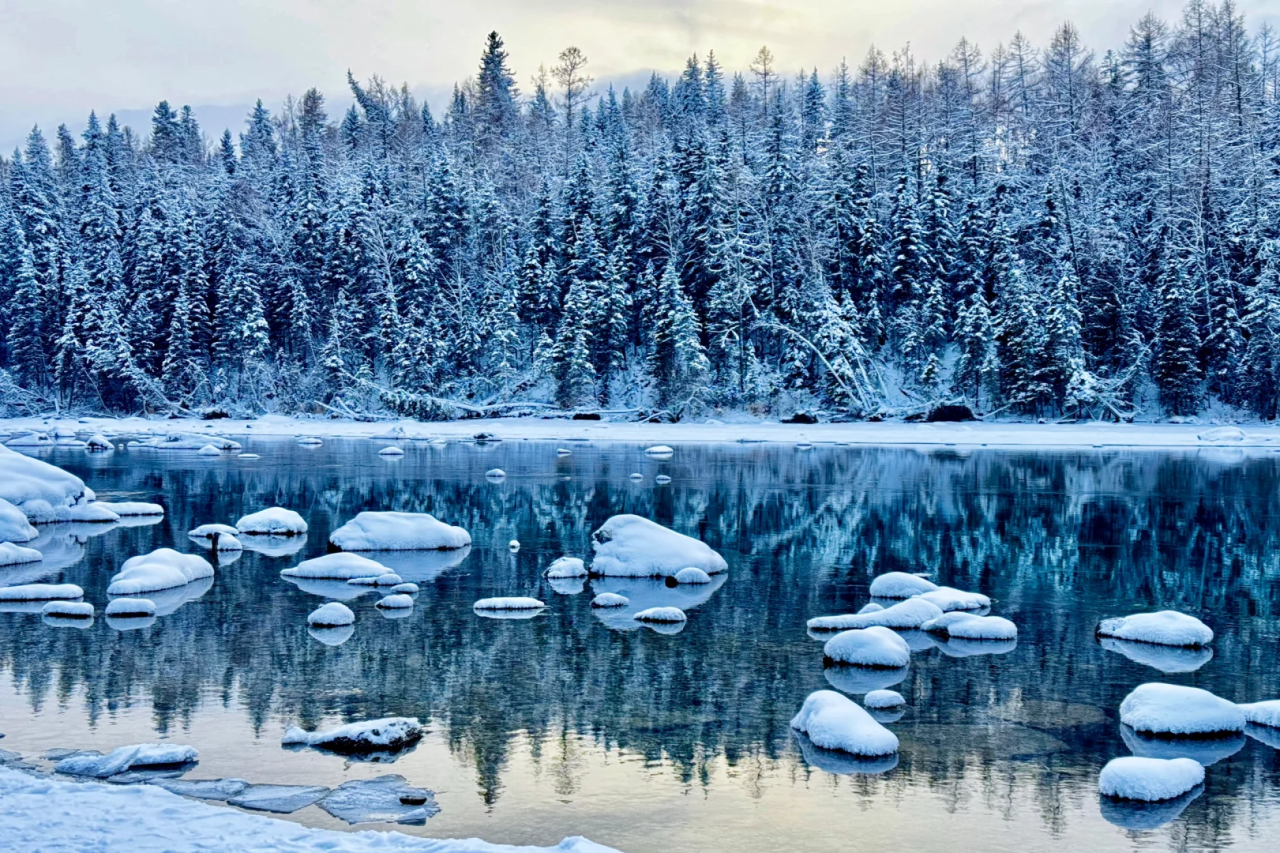 00000000uNdFYsrgdnidgRaQ