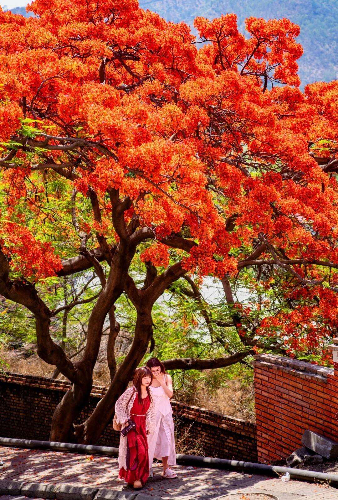 00000000vIKwfGkovXGoZAau 00000000vIKwfGkovXGoZAau