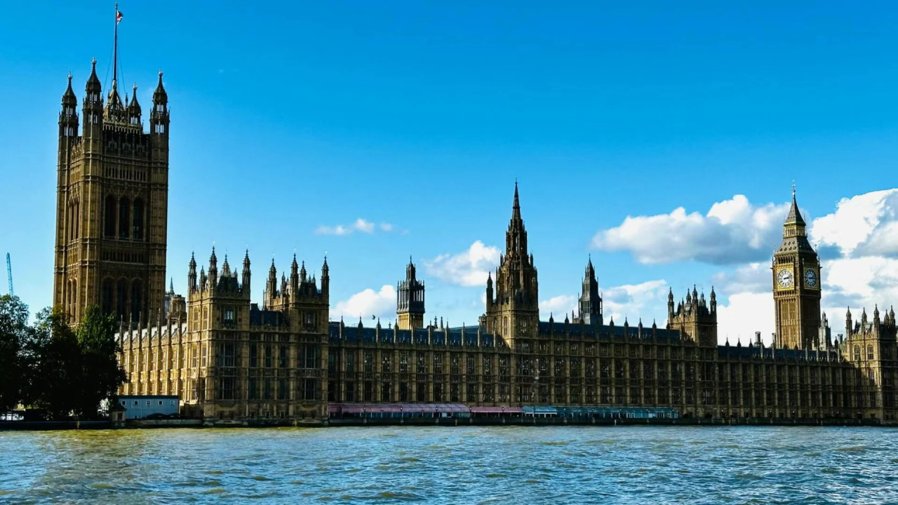 00000000vMPoSvPZFEDvoIgZ