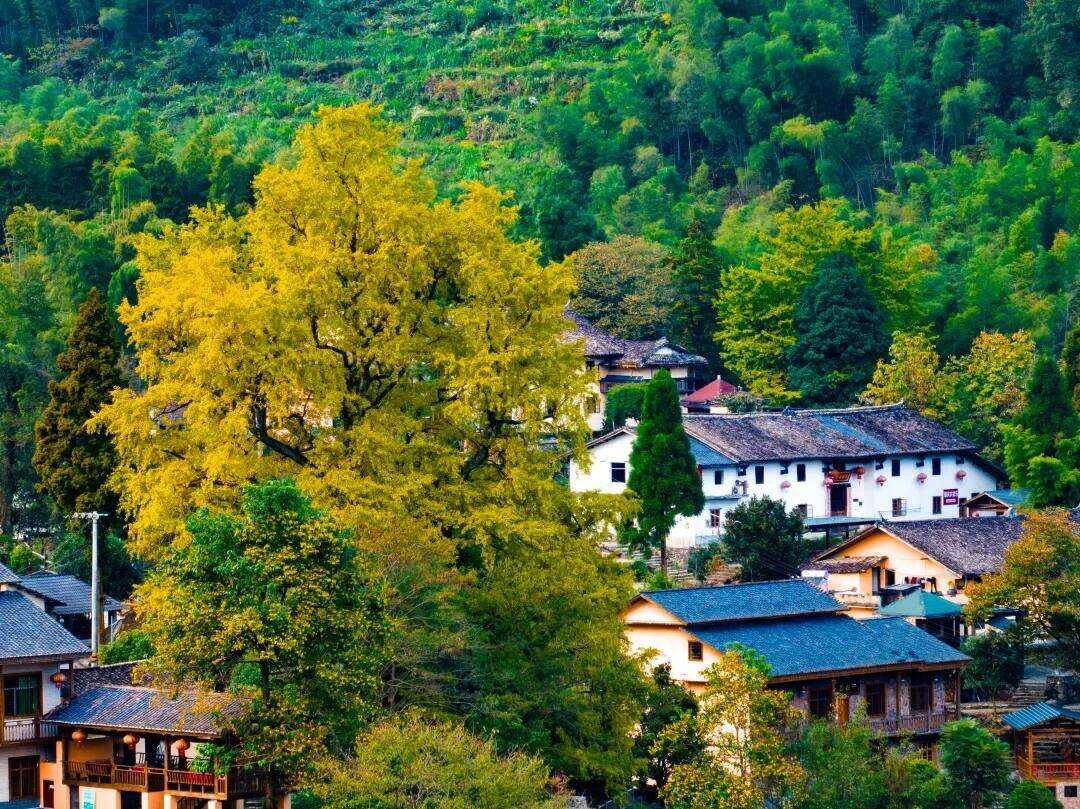 00000000vrswvBiWYyHgdrzw 00000000vrswvBiWYyHgdrzw