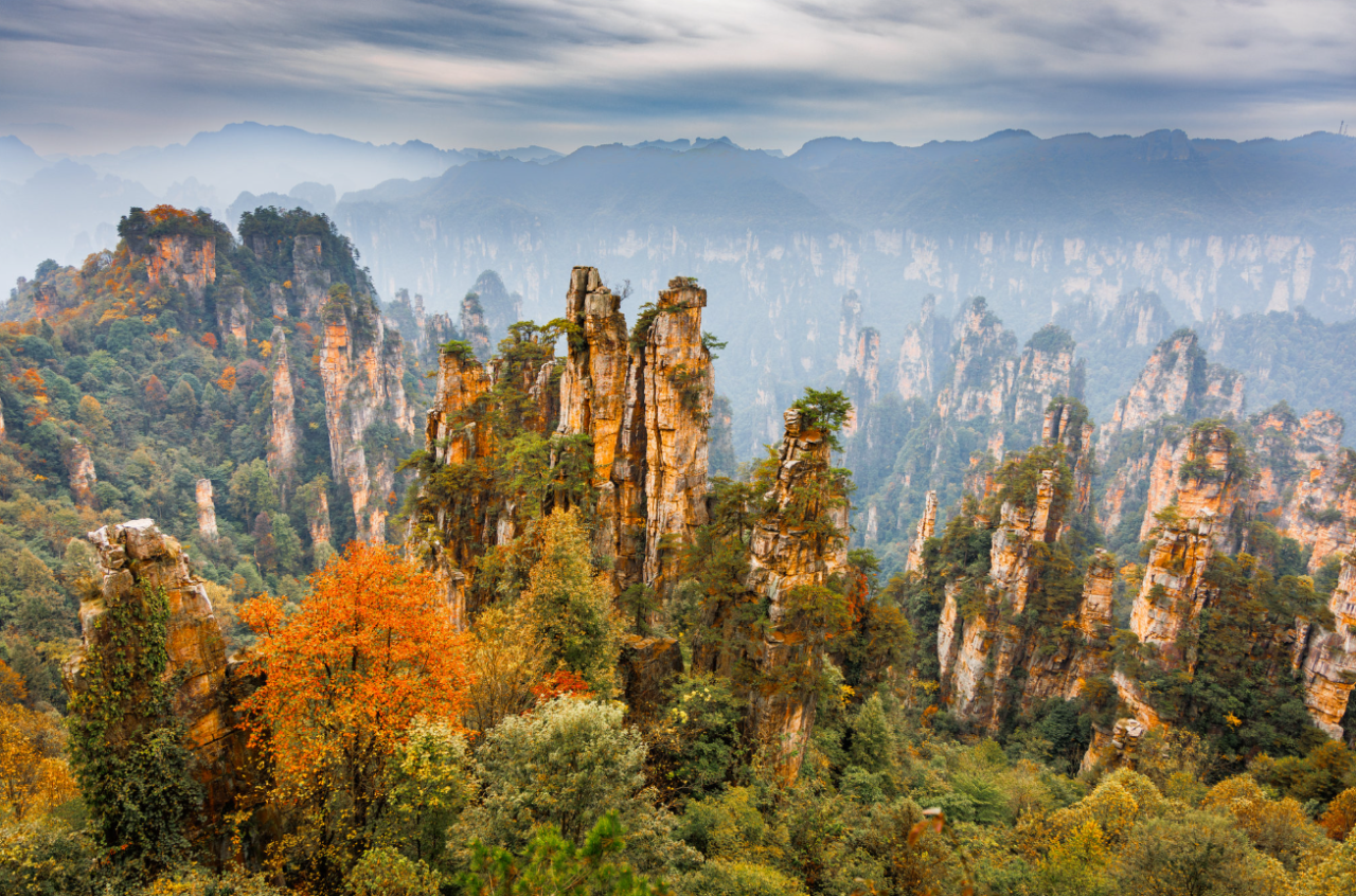 00000000vyTgVXkYCDbXtnxm