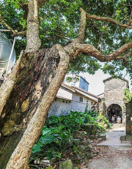 00000000wNDukfUCSyHRtzKw-1 00000000wNDukfUCSyHRtzKw-1