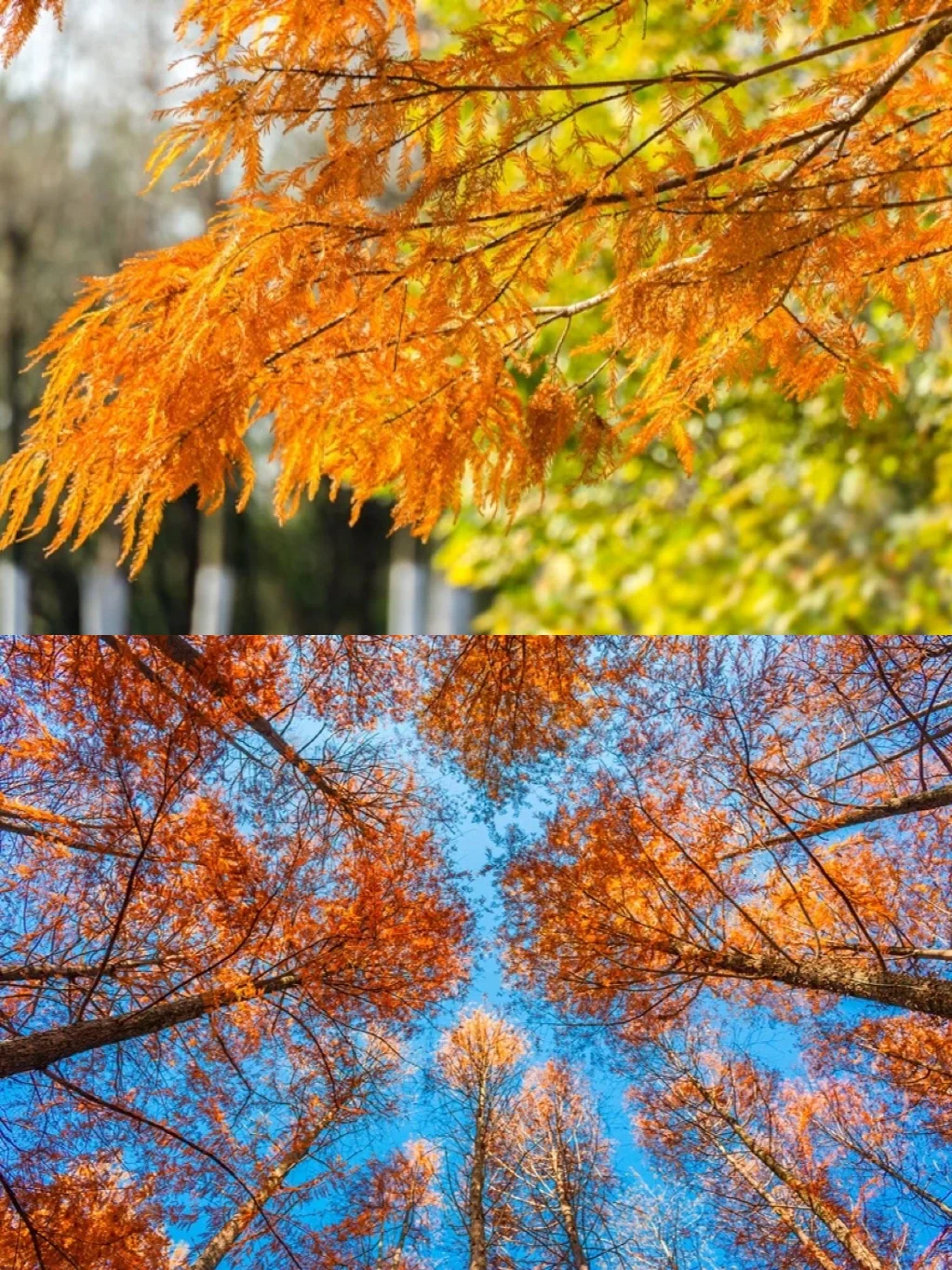 00000000wTkyuuEwkOQADely