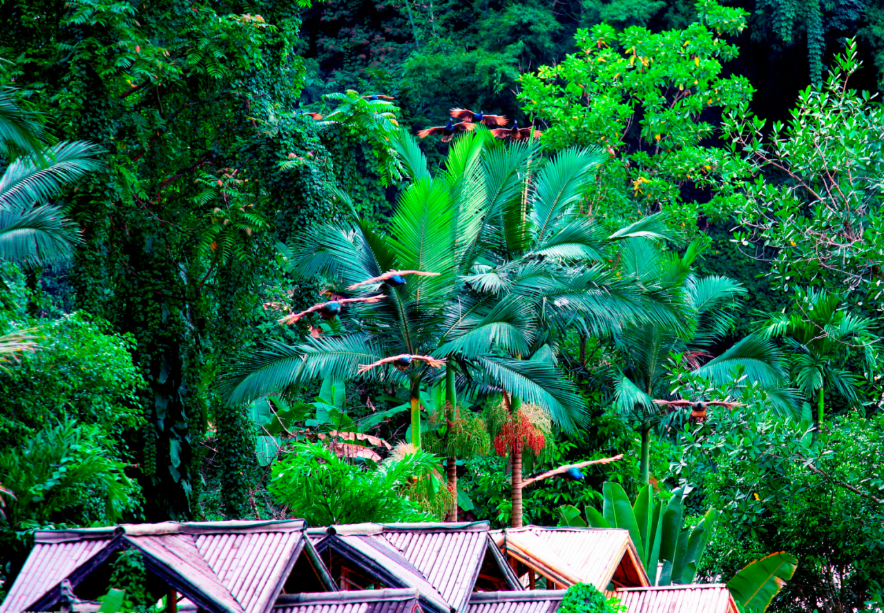 00000000wecDlHLPuVGKhsGk