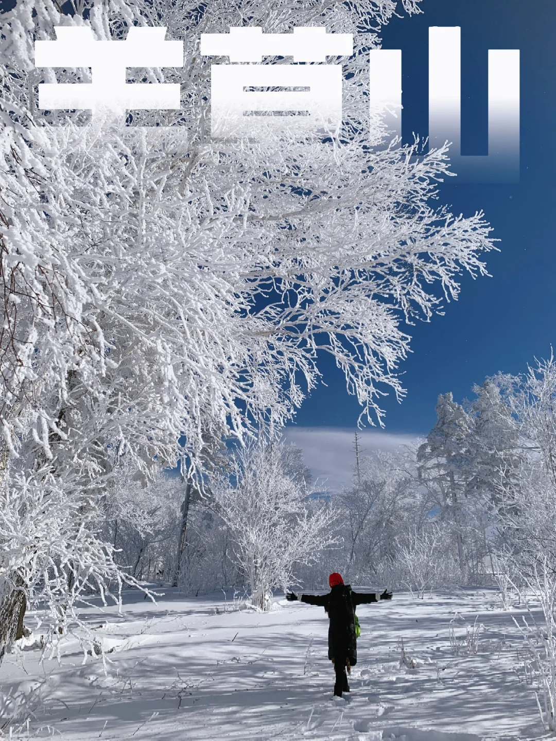 00000000xJONTjxdlZGwpeEb