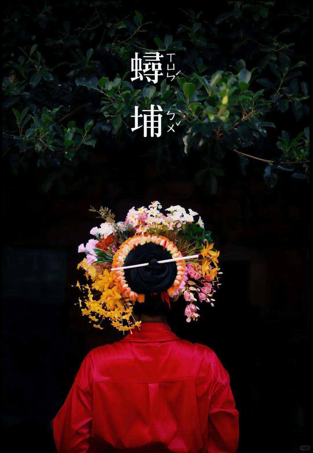 00000000xPhcpWtokrJRigwz