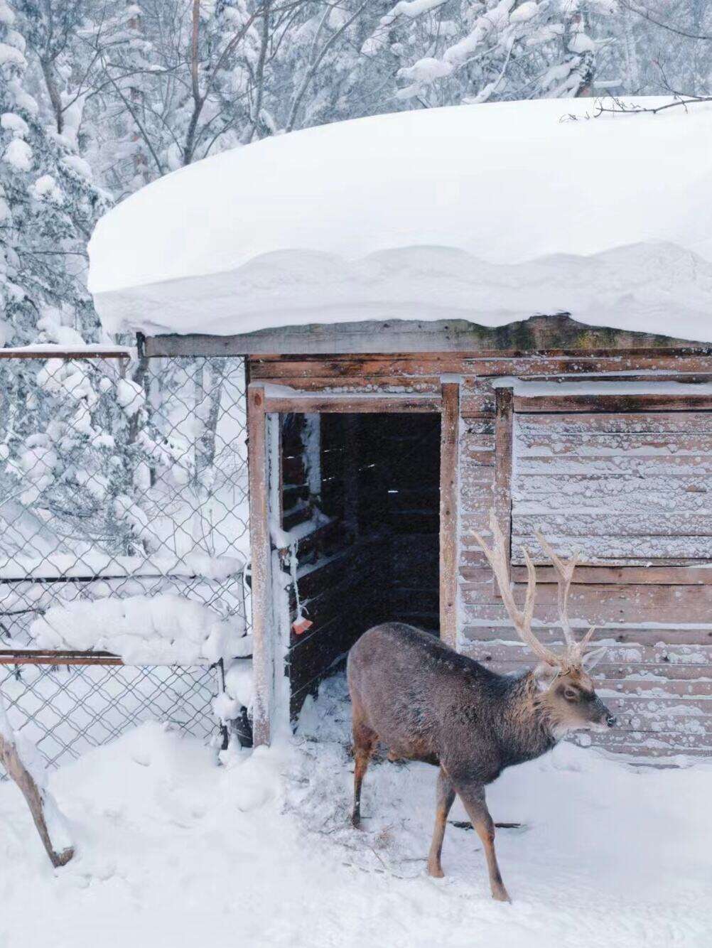 00000000xvRUfpDToMEKrhTW 00000000xvRUfpDToMEKrhTW