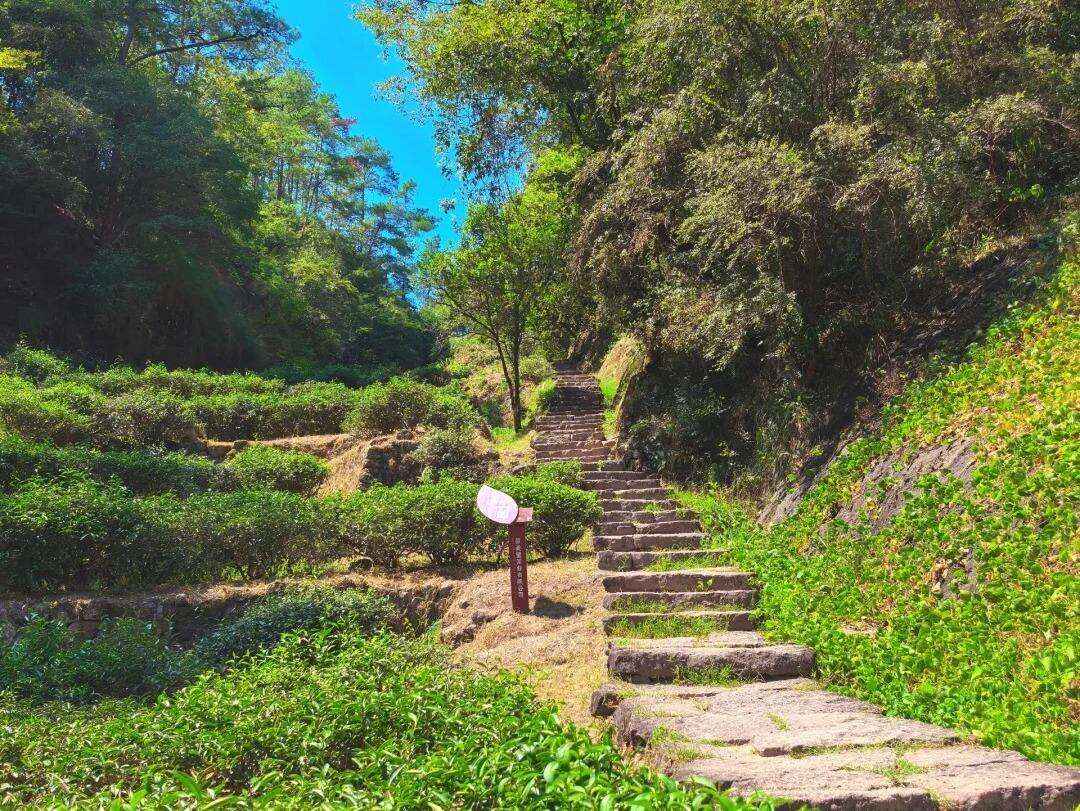 00000000yOkVwgLMMgqIGWlz