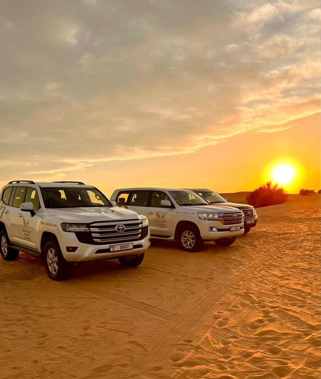 00000000ylauJgXVMYULhWRY 00000000ylauJgXVMYULhWRY