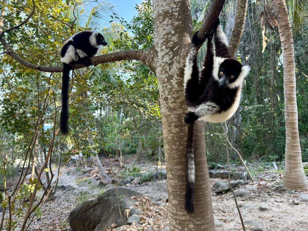 00000000zSkjEwFICzCYSVIH 00000000zSkjEwFICzCYSVIH