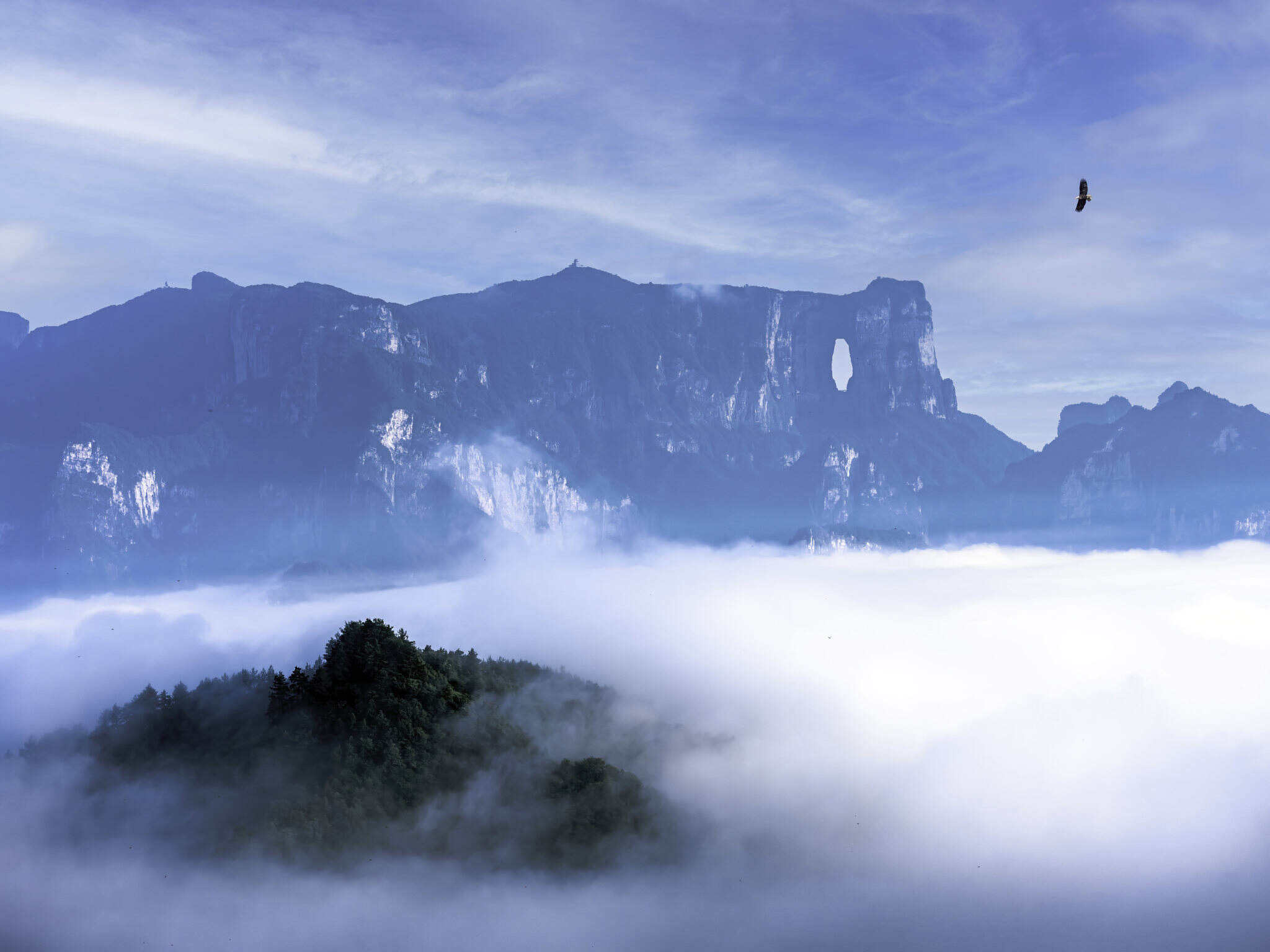 00000000zTMDaEPaMkEiiSAZ