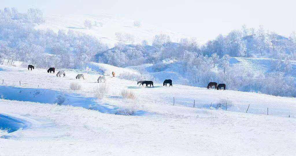 00000000zUKwJcGMkYMYpUxt