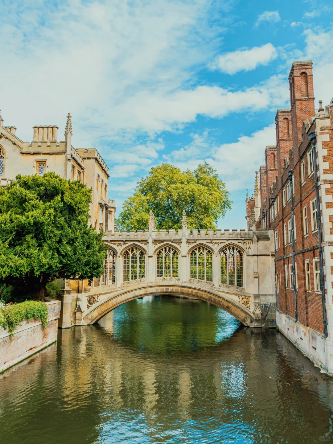 00000000znBGlHeaHRPfjZVf