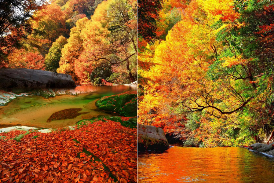 00000000zouODjVQDhpvETwC 00000000zouODjVQDhpvETwC