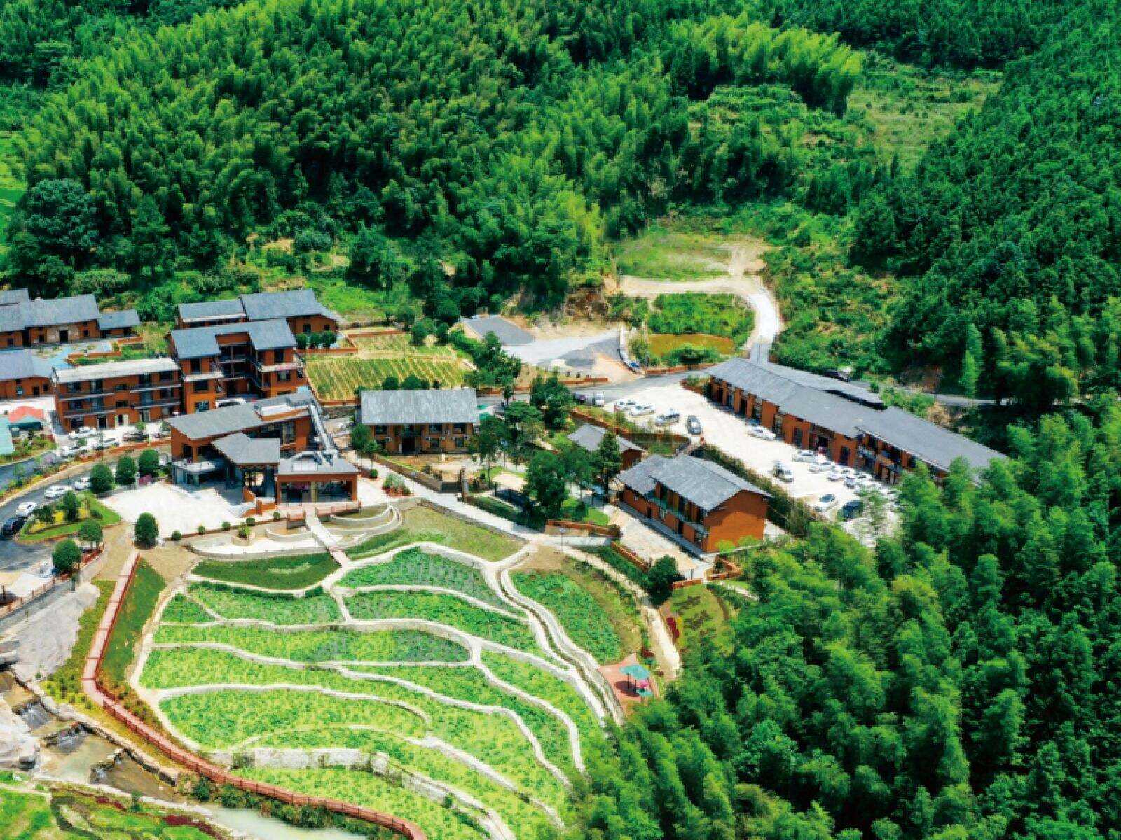 00000000ztGclExgDGvhyGqx