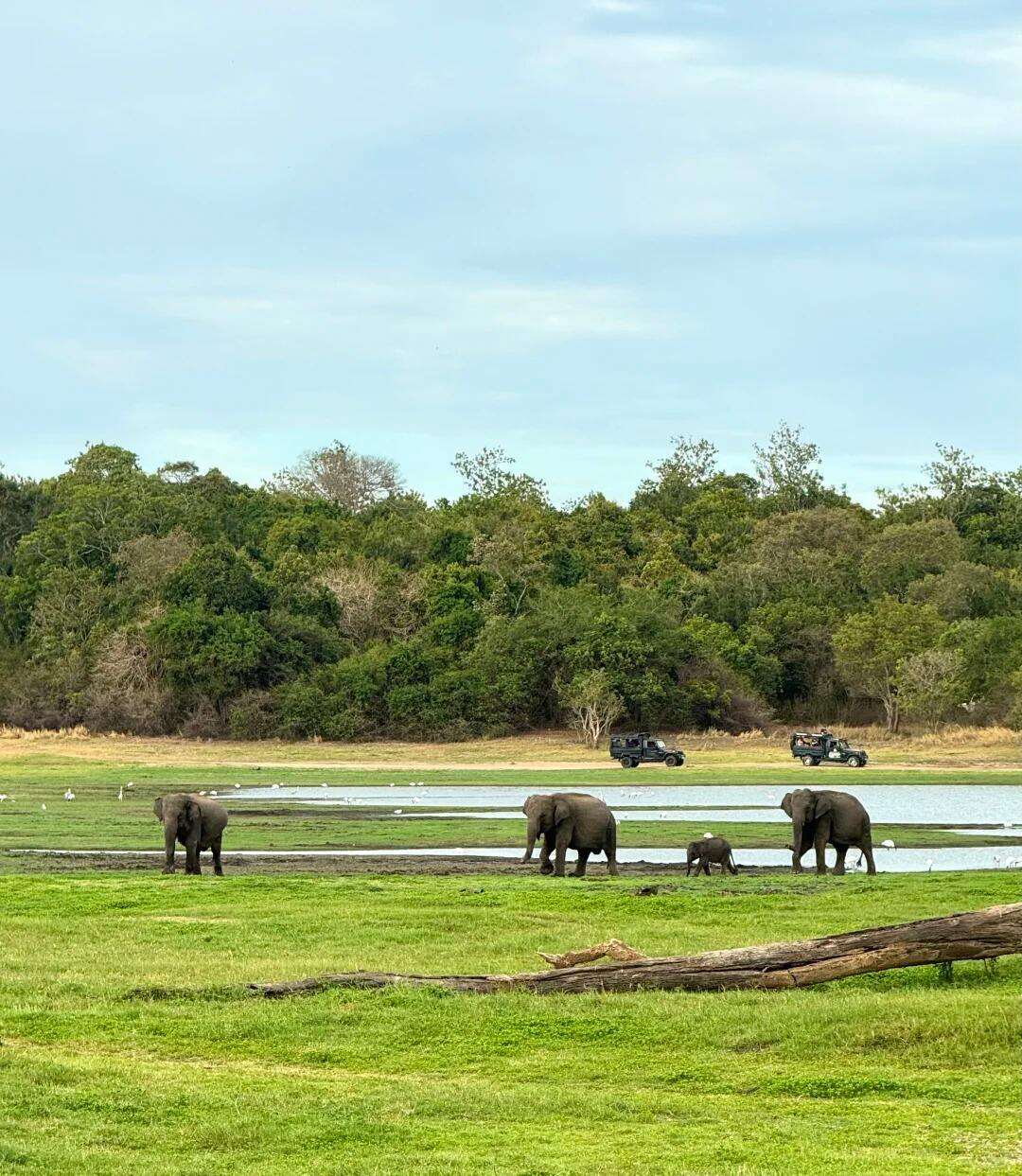 00000000zydeXFIVzuWFNJDl 00000000zydeXFIVzuWFNJDl