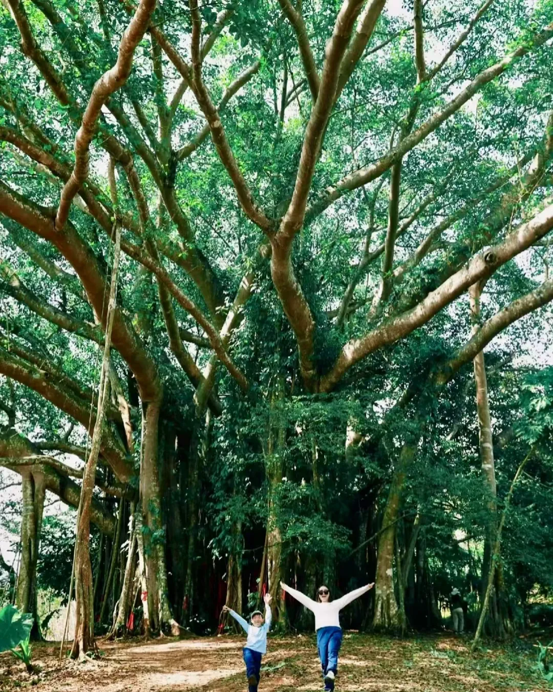 000d3126267d32055ccd10aefd9ac33f-sz_2056688 000d3126267d32055ccd10aefd9ac33f-sz_2056688