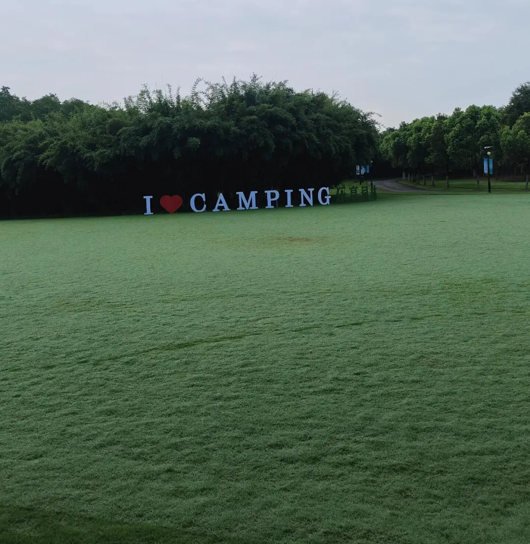 00373002add8e368ef3b1c76c677069d-sz_501952