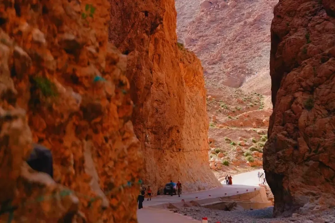 004f5e862d04eefcaf503f8ccf0a7aa3-sz_3610166