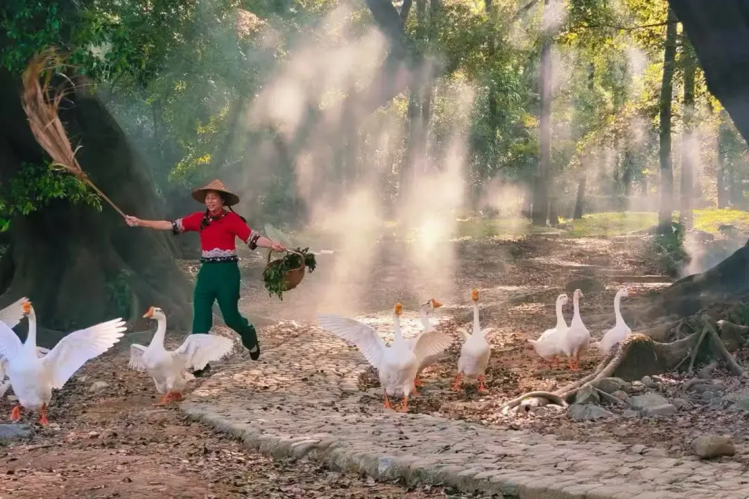 00862e0ad02b242ea0c443c9b72691d3-sz_287733 00862e0ad02b242ea0c443c9b72691d3-sz_287733