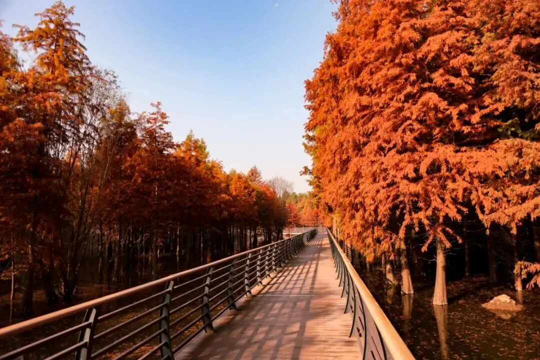 00904e7607875b271981dece50d019d0-sz_176556 00904e7607875b271981dece50d019d0-sz_176556