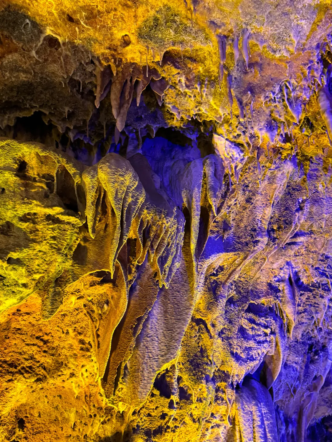 00ce28e752b41f385ddecd823e9cbd4d-sz_1741653