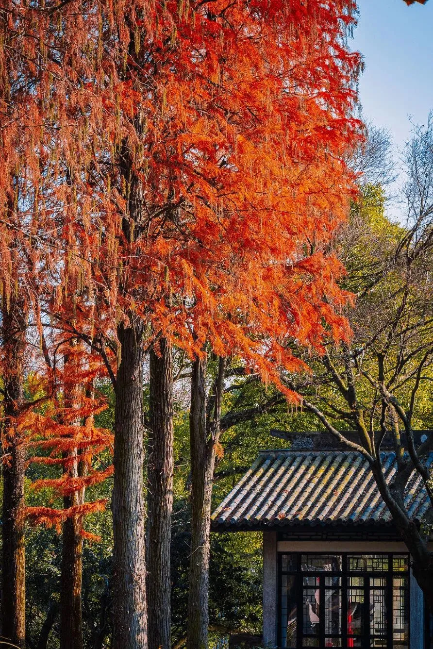 010077200b3082750619fe259dfc020a-sz_517815 010077200b3082750619fe259dfc020a-sz_517815