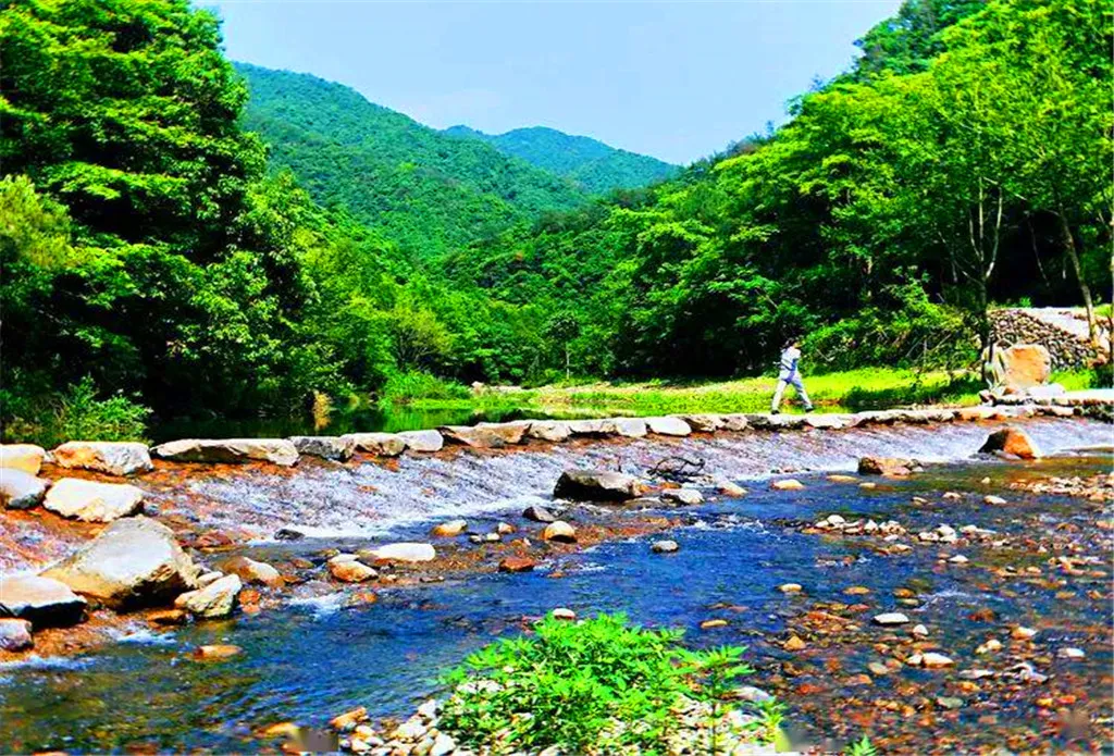 0101d6c86b4a98f1bcd4763470ba0f64-sz_417577