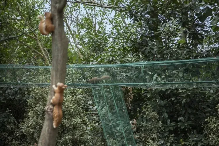 01218396956c82c991ec504221896389-sz_211441