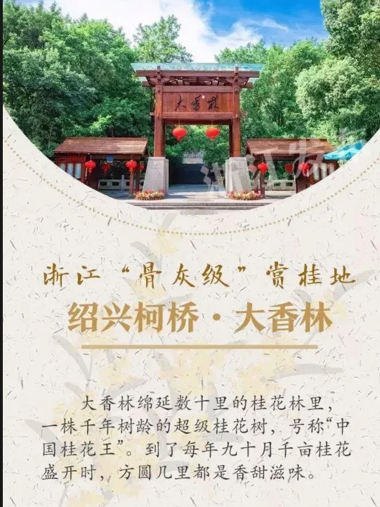 ✌️大香林金秋赏桂◆四星纯玩499【绍兴品质纯玩3日游】2晚携程4钻酒店◆2早4正◆4A柯岩景区+4A兜率天宫+4A安昌古镇+4A柯桥古镇夜景！全程跟车游景点、导游服务、拒绝套班车！