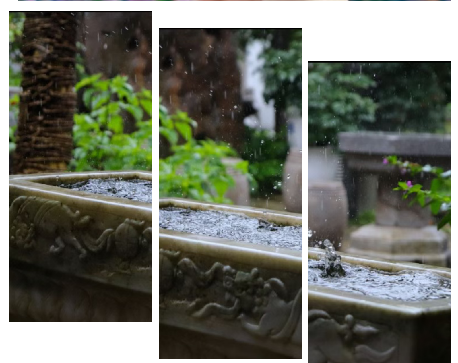 0160ece2ac2d350ef6f41c5a5e889ca9 0160ece2ac2d350ef6f41c5a5e889ca9