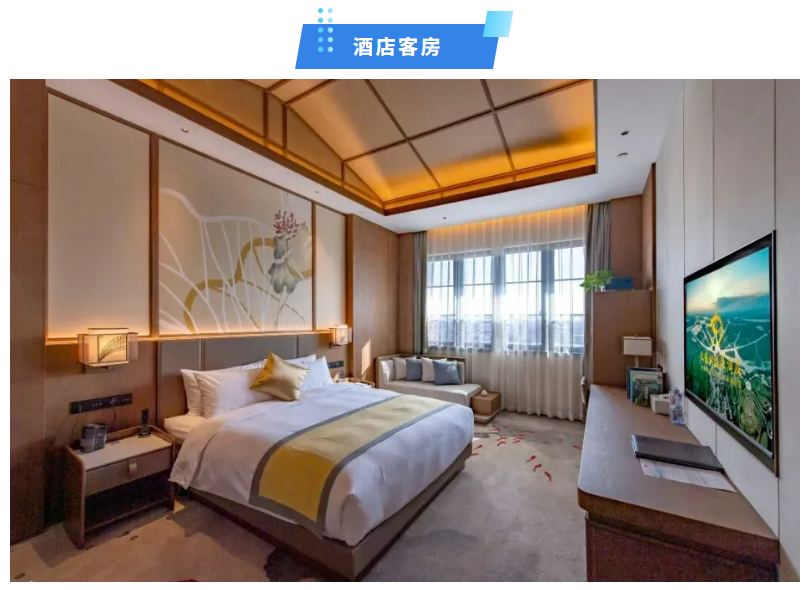 016218af152c2d2a3175ee21fd7b789c