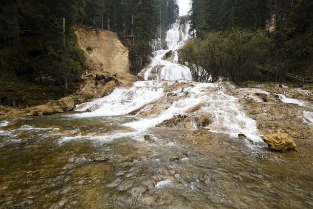 017e9005a2c81bb70dcfed56b58b69a4-sz_123097