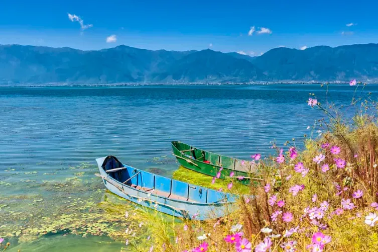 01ae5f3c472923757502e693bd79f1e5-sz_719524 01ae5f3c472923757502e693bd79f1e5-sz_719524