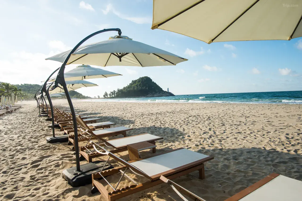 0202n120008osip490AC1_W_1280_853_R5