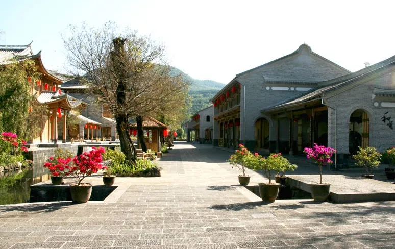 020f21bcedd7605a4aa45733a2772fc8-sz_834748