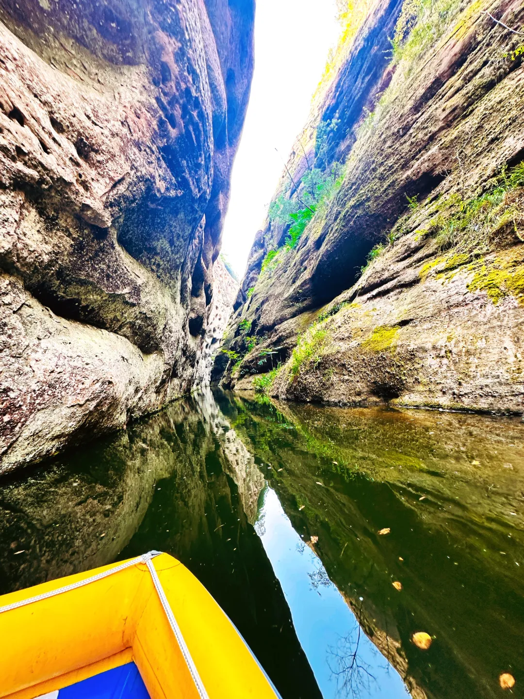 021256e1754cd8862f79db9523eac498-sz_1987552