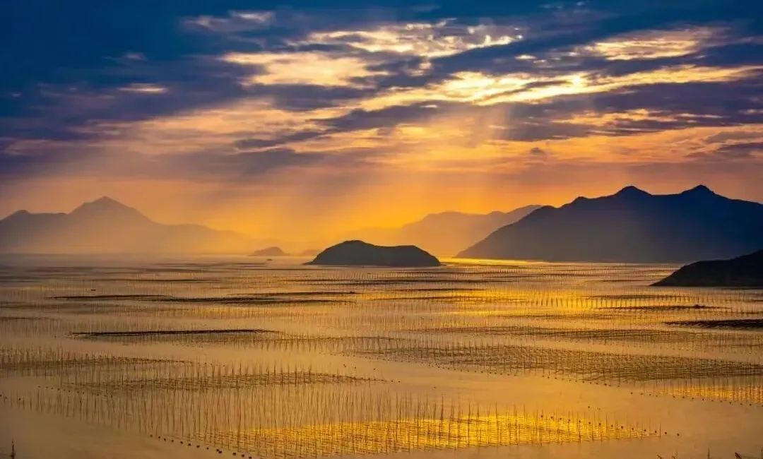 02457acbad096b85a6bd347412b9bb30-sz_731873