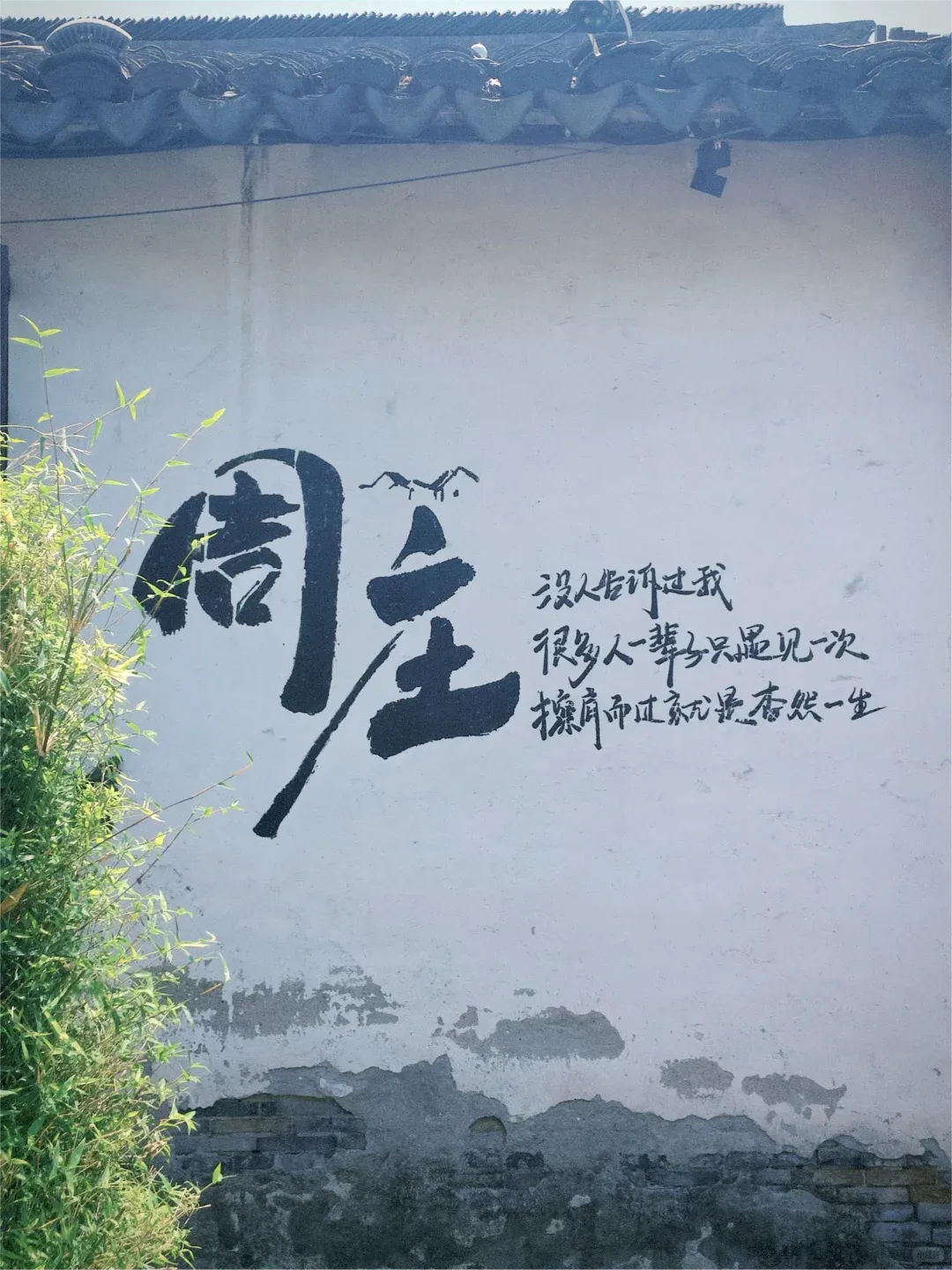 026caf44af8c0571dd4279bde72ea4e6-sz_2572831