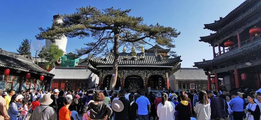 0279a00cc9f8c1e35fd9df5a95412475-sz_99249-1 0279a00cc9f8c1e35fd9df5a95412475-sz_99249-1