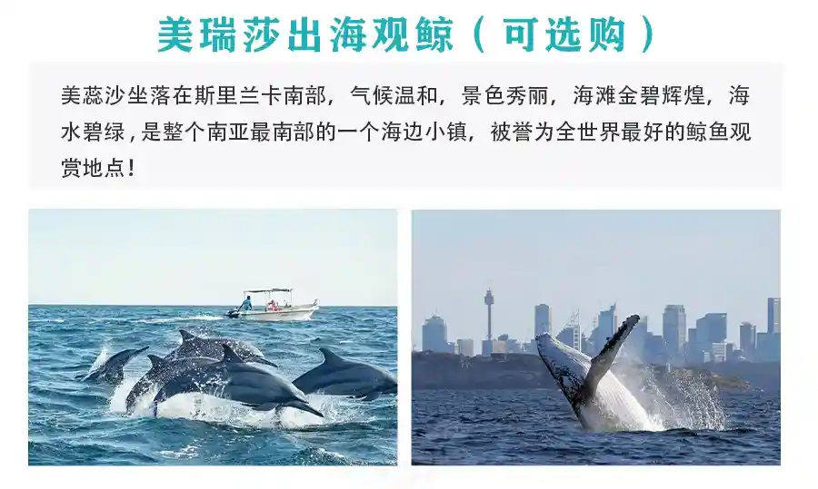 02b24d47fd1f4e76bb9e7b4bcdb6280d