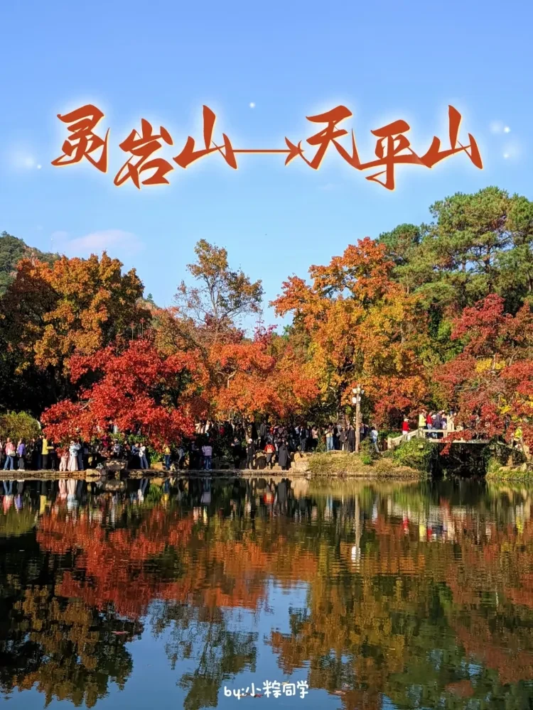 02c73c5131c2673b0a1fd2a1e56fe490-sz_1682773