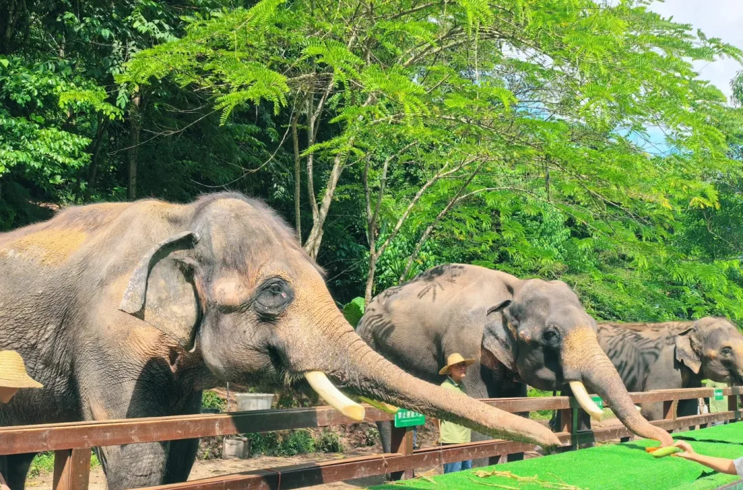 02c88c7fd06410d14e75c9fcb22bbe15-sz_814603 02c88c7fd06410d14e75c9fcb22bbe15-sz_814603