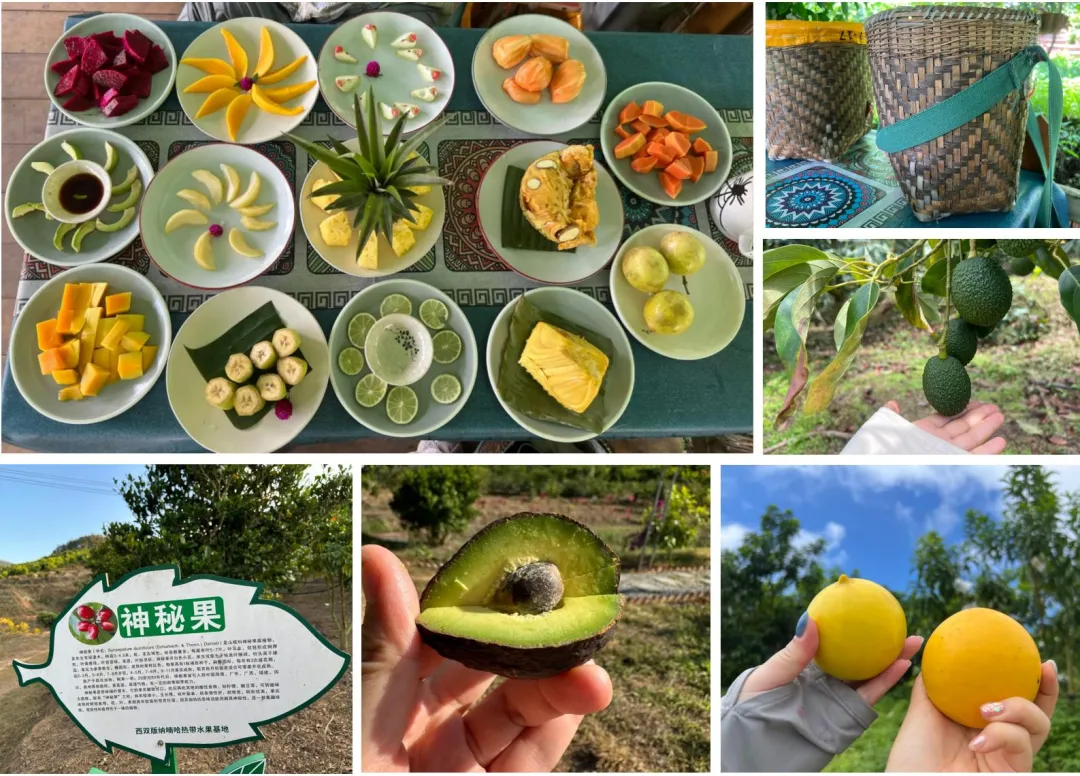 031b6b16998f731324d47129ff53c7a0-sz_4952747 031b6b16998f731324d47129ff53c7a0-sz_4952747