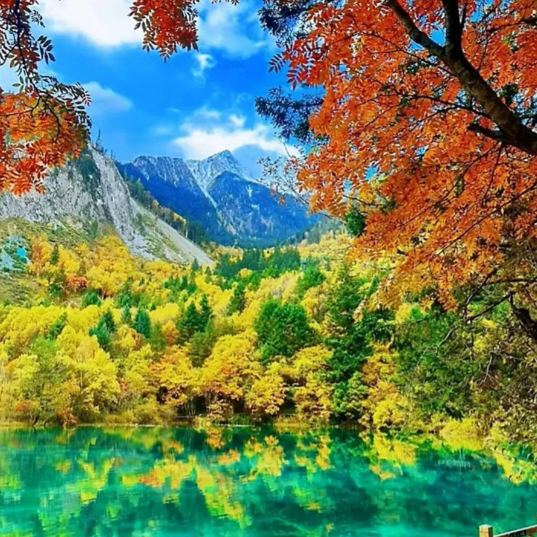 032aca72c8e1864bf32e9720b38a6608-sz_795495 032aca72c8e1864bf32e9720b38a6608-sz_795495