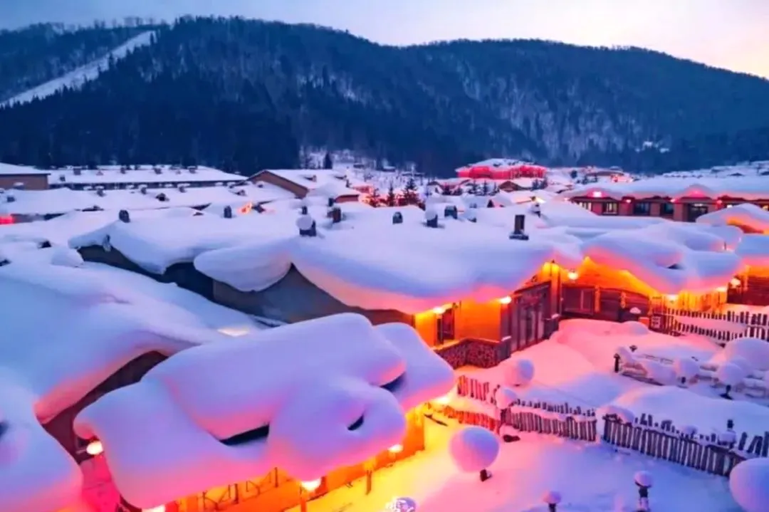 03a8cfd1a1a57a619f1ddb0ac8c1a639-sz_241567