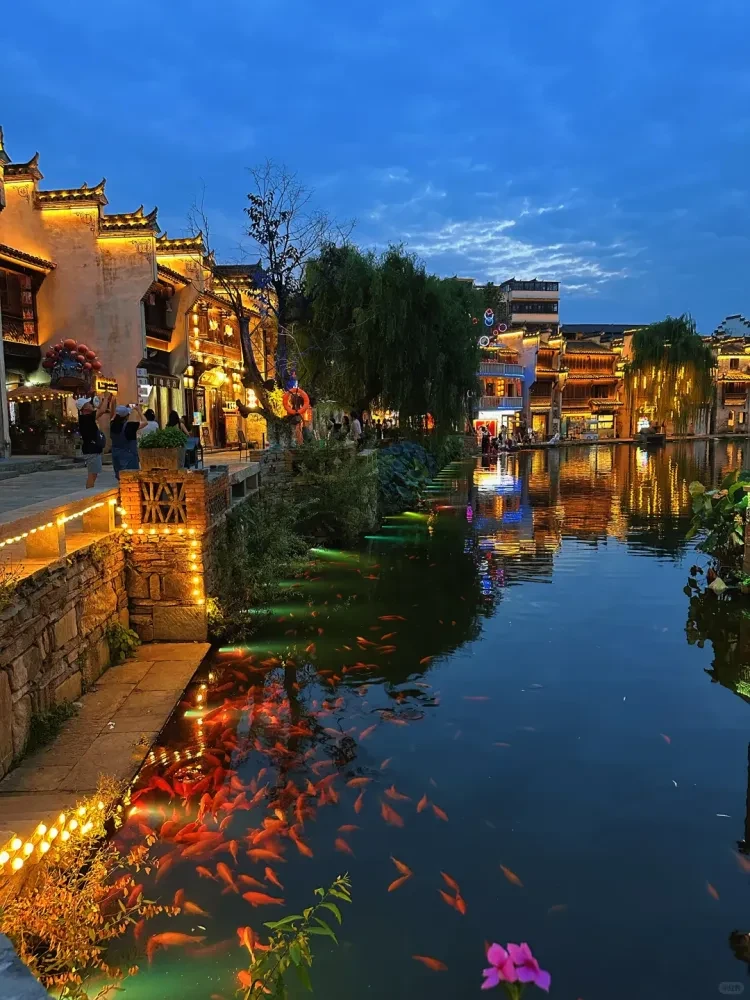 03b16dd290b4202aa4448286a21d467c-sz_2537203