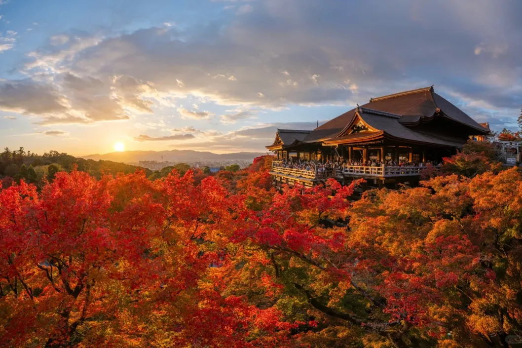 03b5807a60f1e991c07851101c26420a-sz_589848 03b5807a60f1e991c07851101c26420a-sz_589848